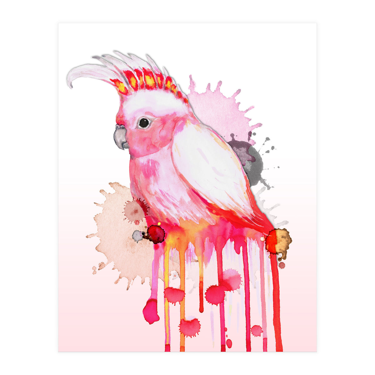 Major Mitchell's cockatoo (Print Only)