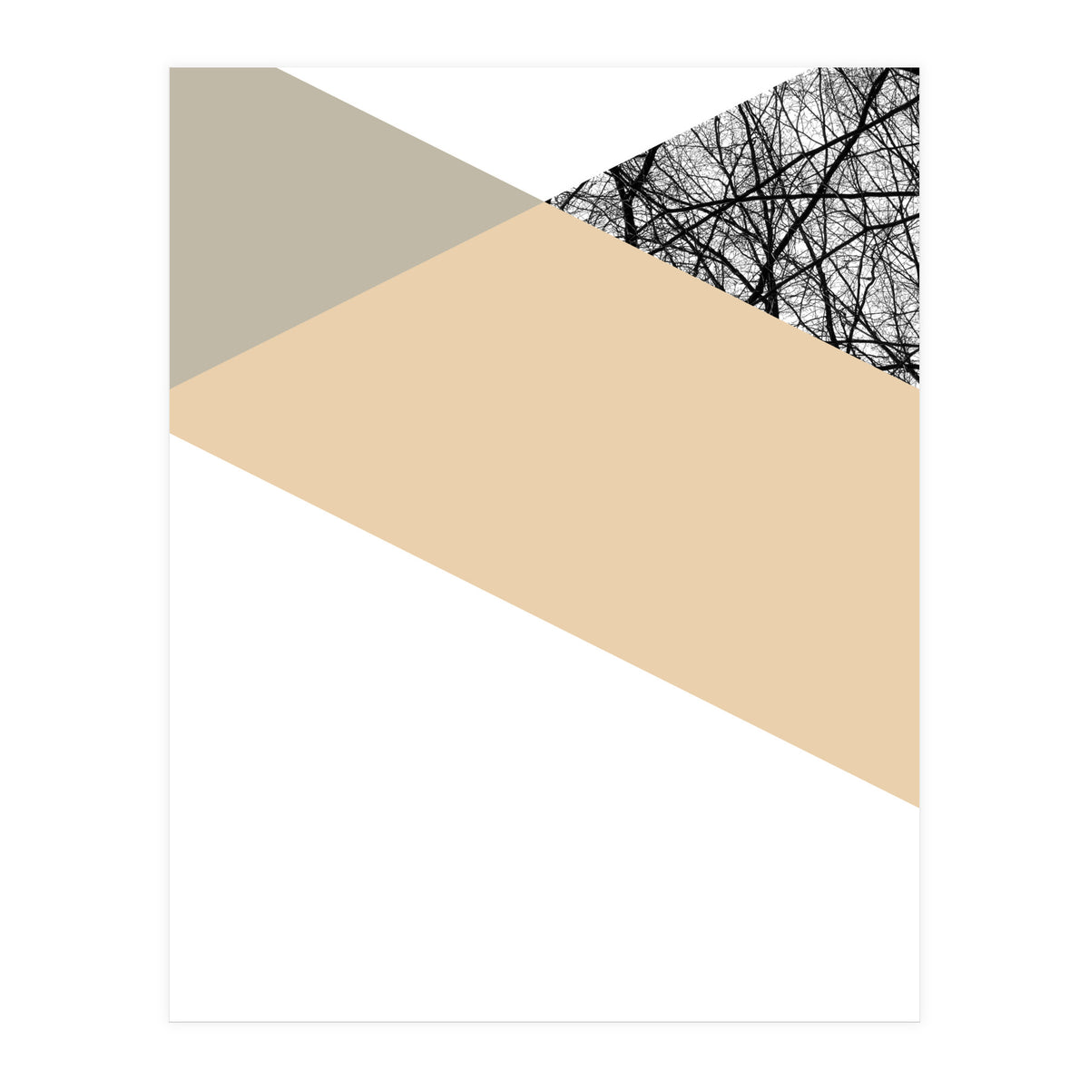 TRIWOOD IV (Print Only)