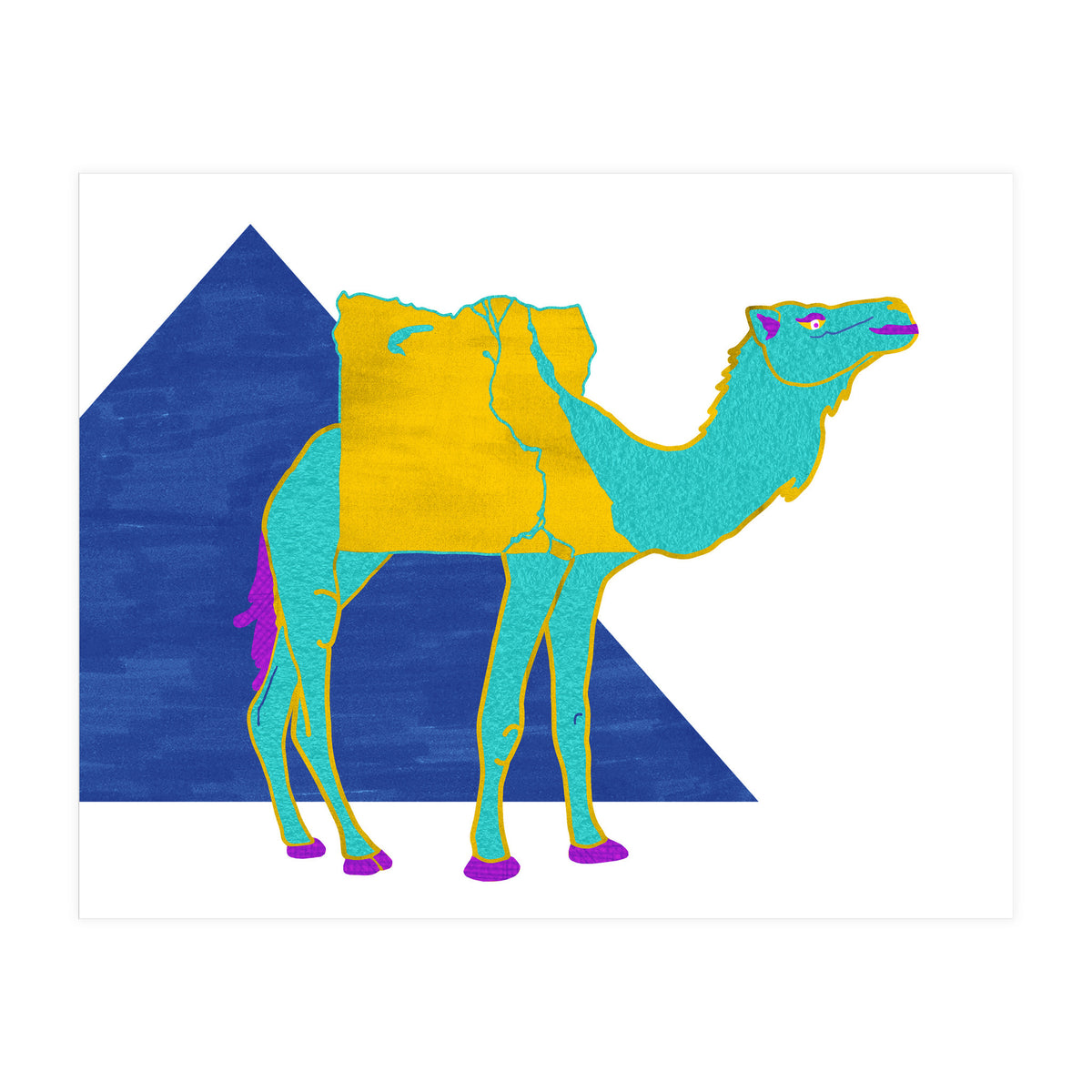 Egyptian Dromedary (Print Only)