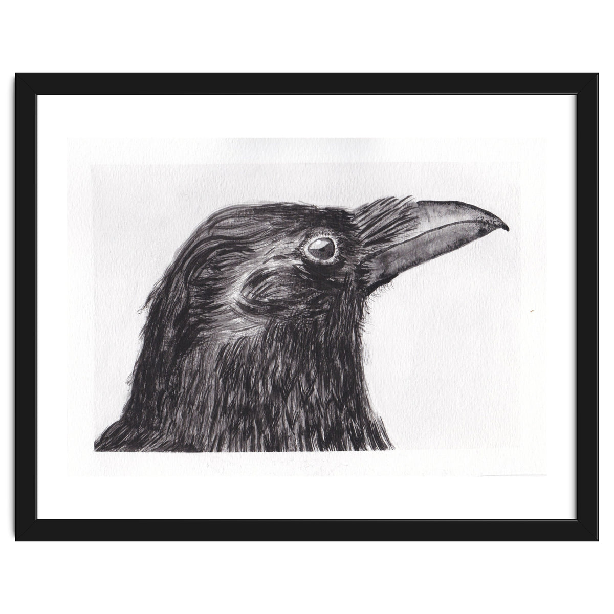 Crow