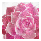 Rough Beauty 4 (Print Only) thumbnail