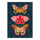Lepidoptery Study No. 4 (Print Only) thumbnail