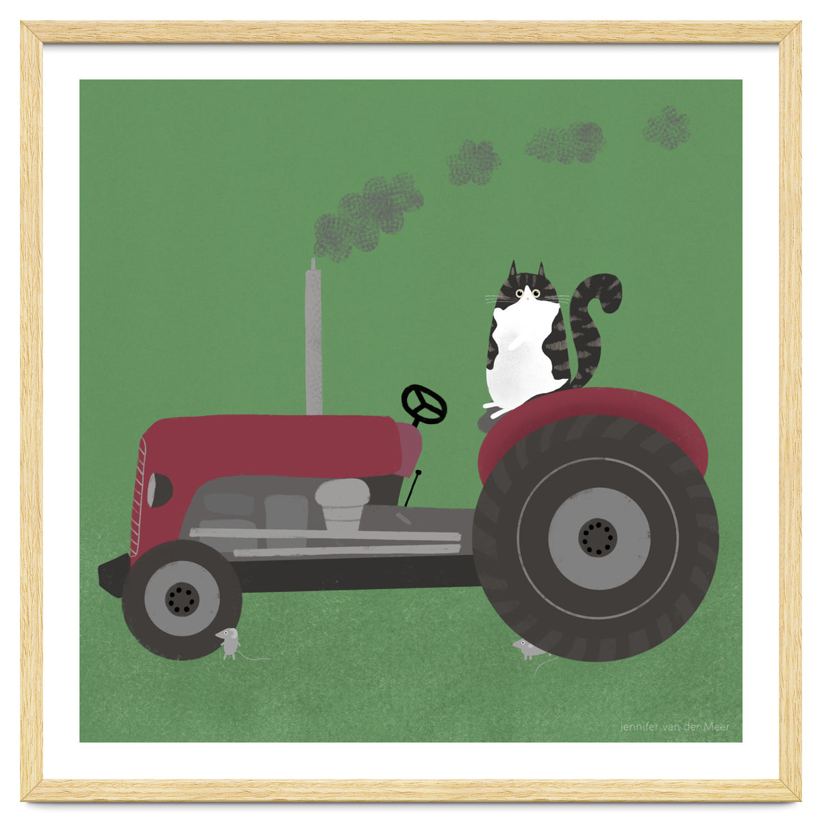 Cat 84: The farm cat