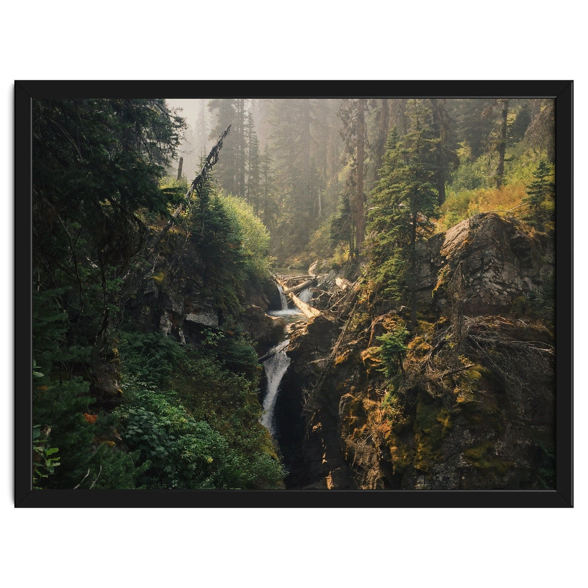 Glacier National Park I