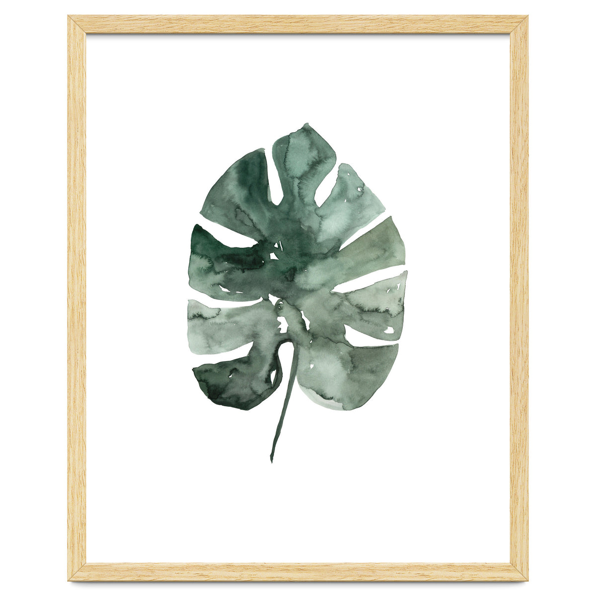 Botanical Illustration Monstera Leaf