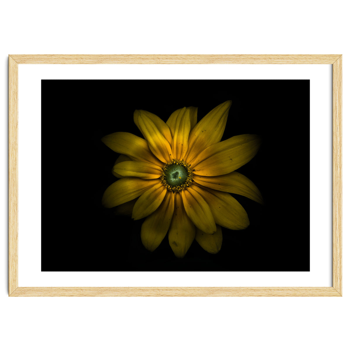 Backyard Flowers No 34 Color Version