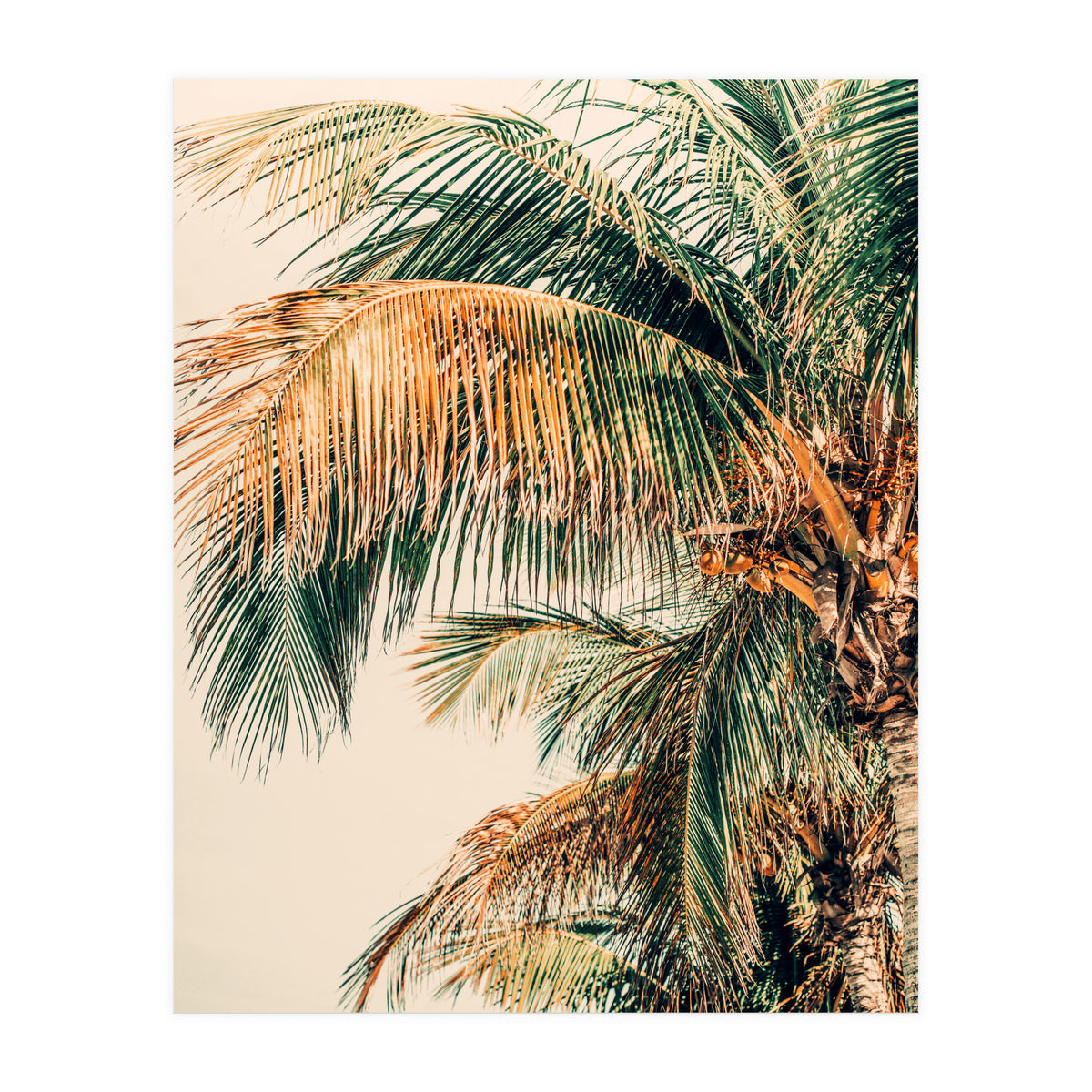 Tropic Summer  (Print Only)
