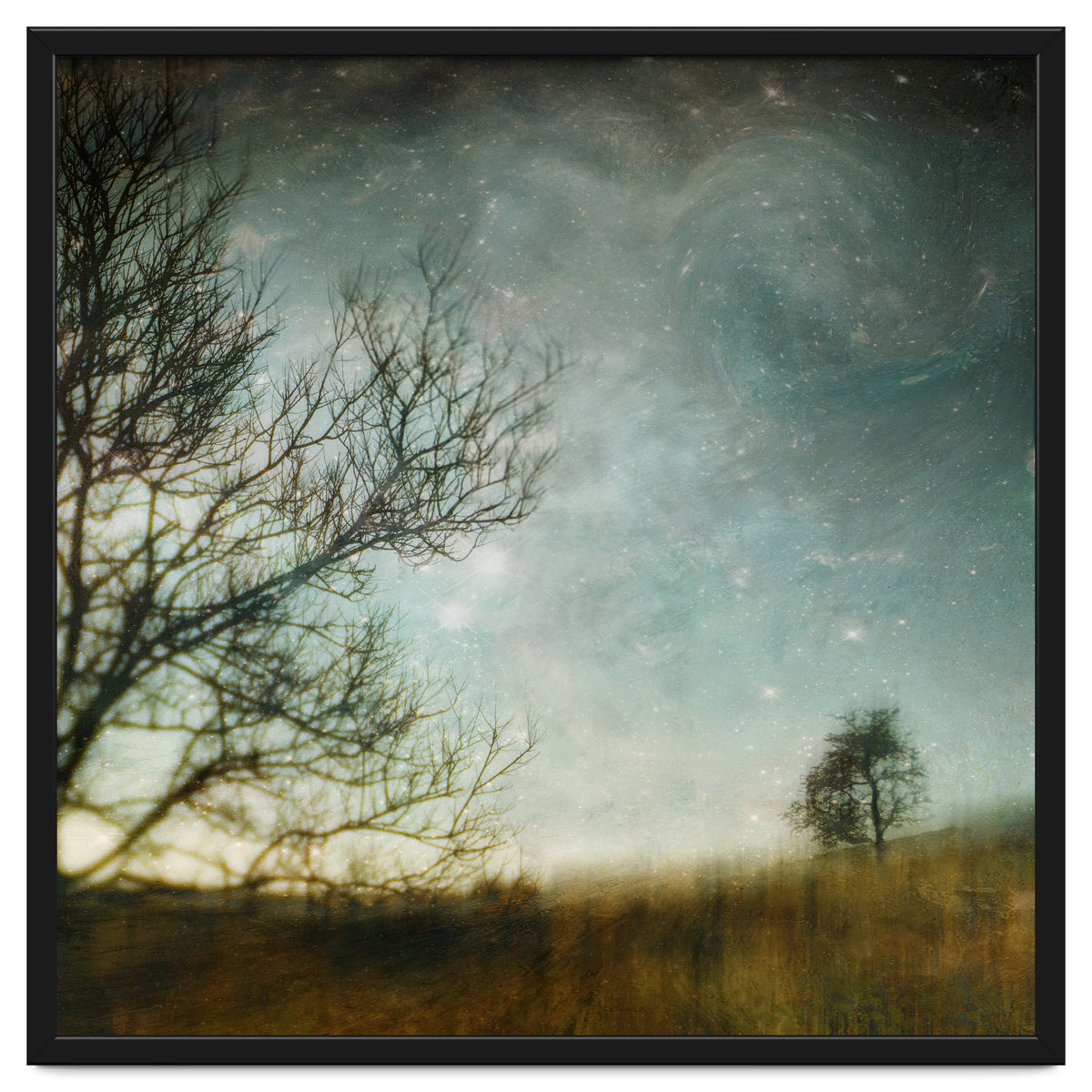 The Tree That Whispered