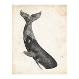 balena (Print Only) thumbnail