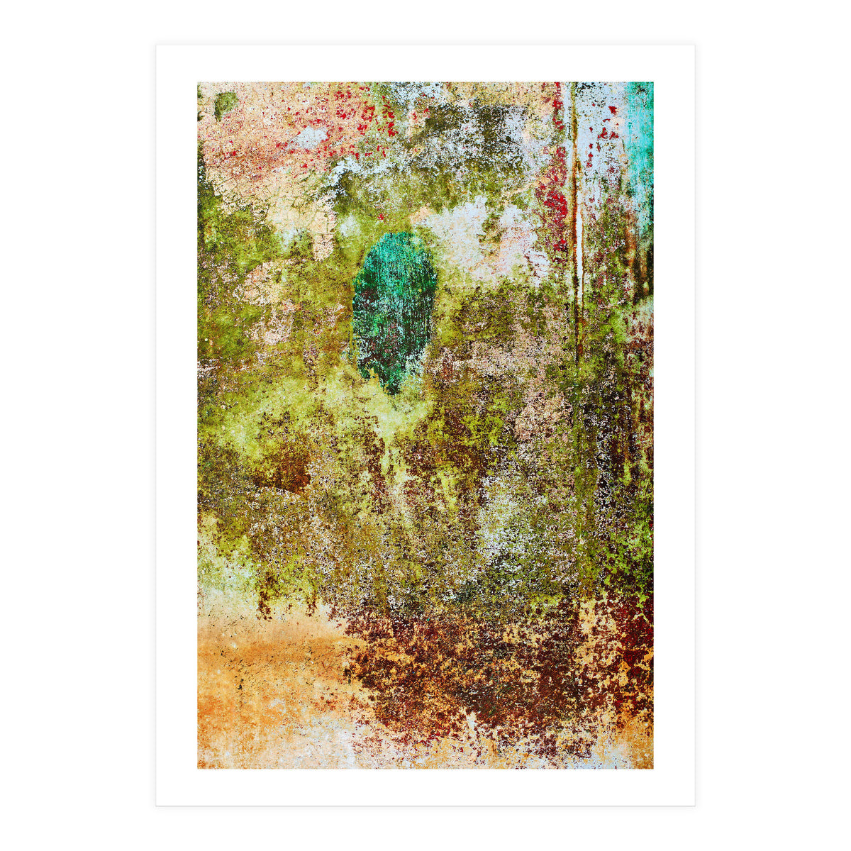 Oak (Print Only)