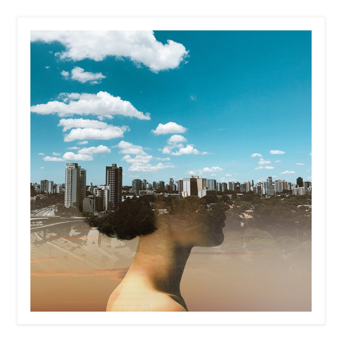 Dream Division 15 (Print Only)