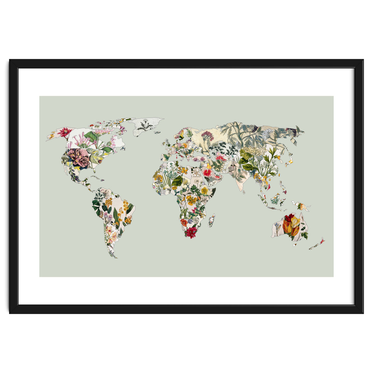 Vintage Botanical Map - Green