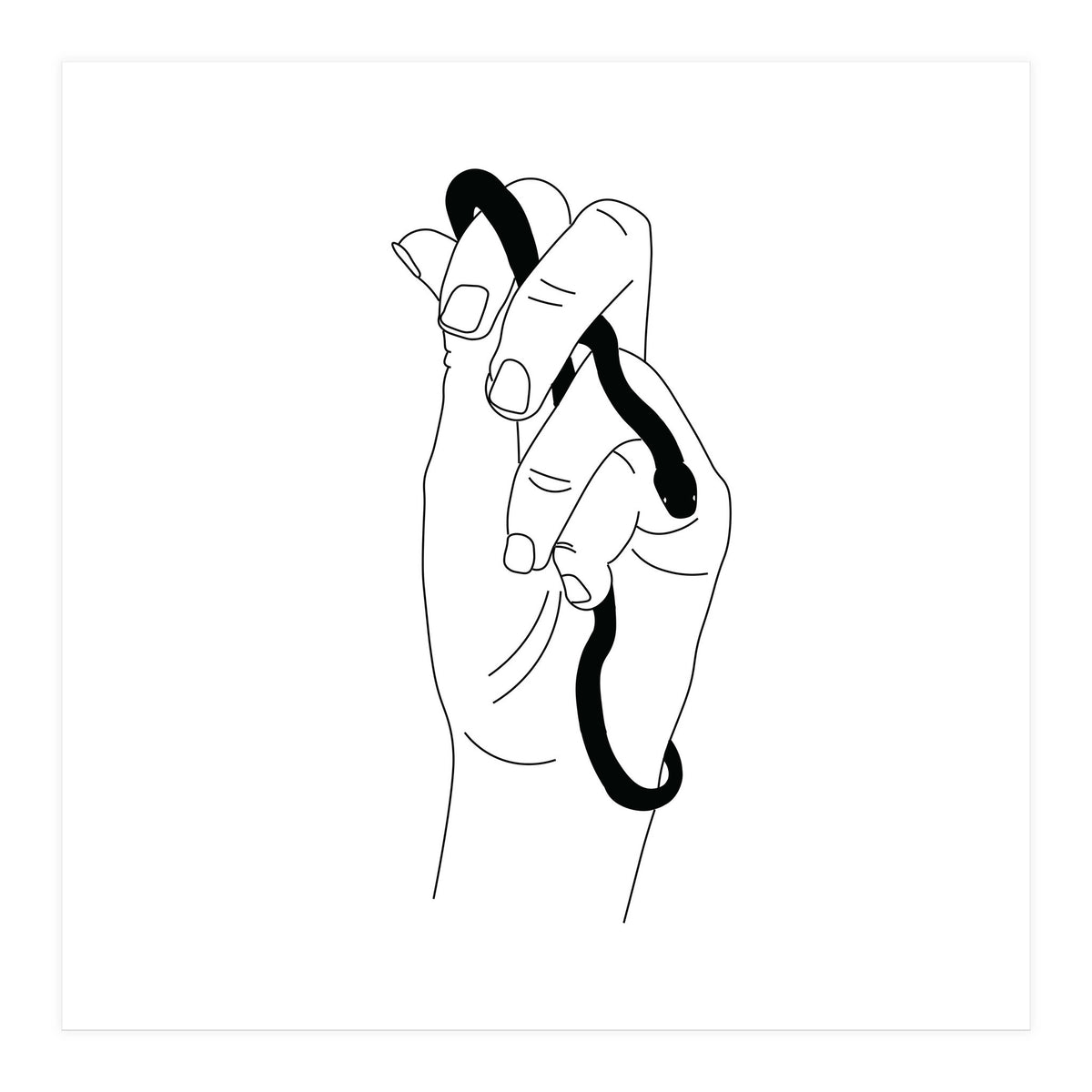 Snake Palm (Print Only)