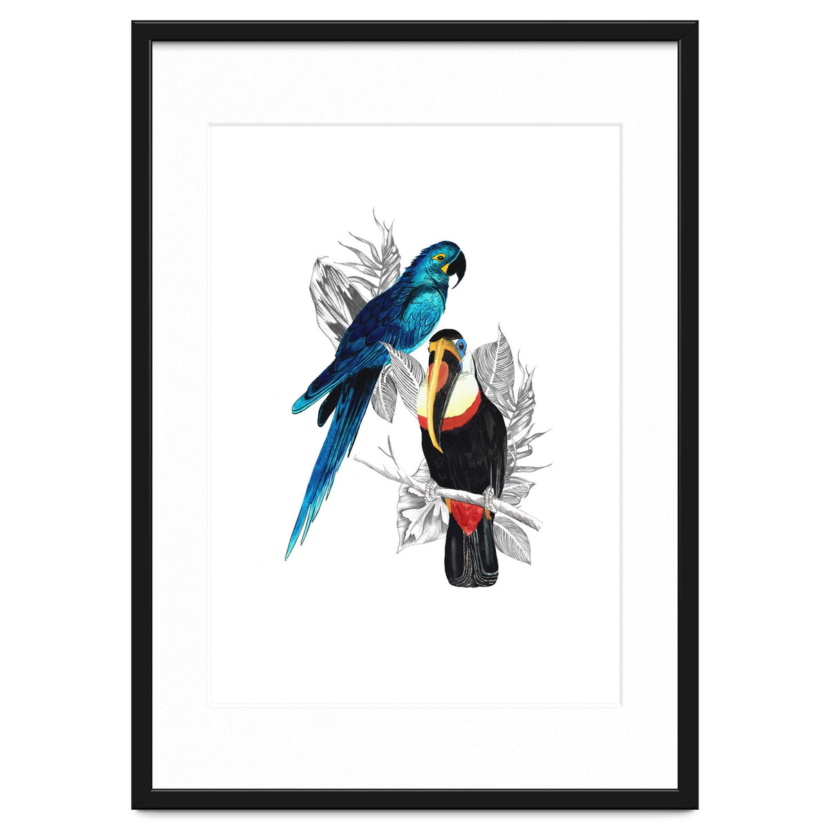 The Toucan and the Parrot