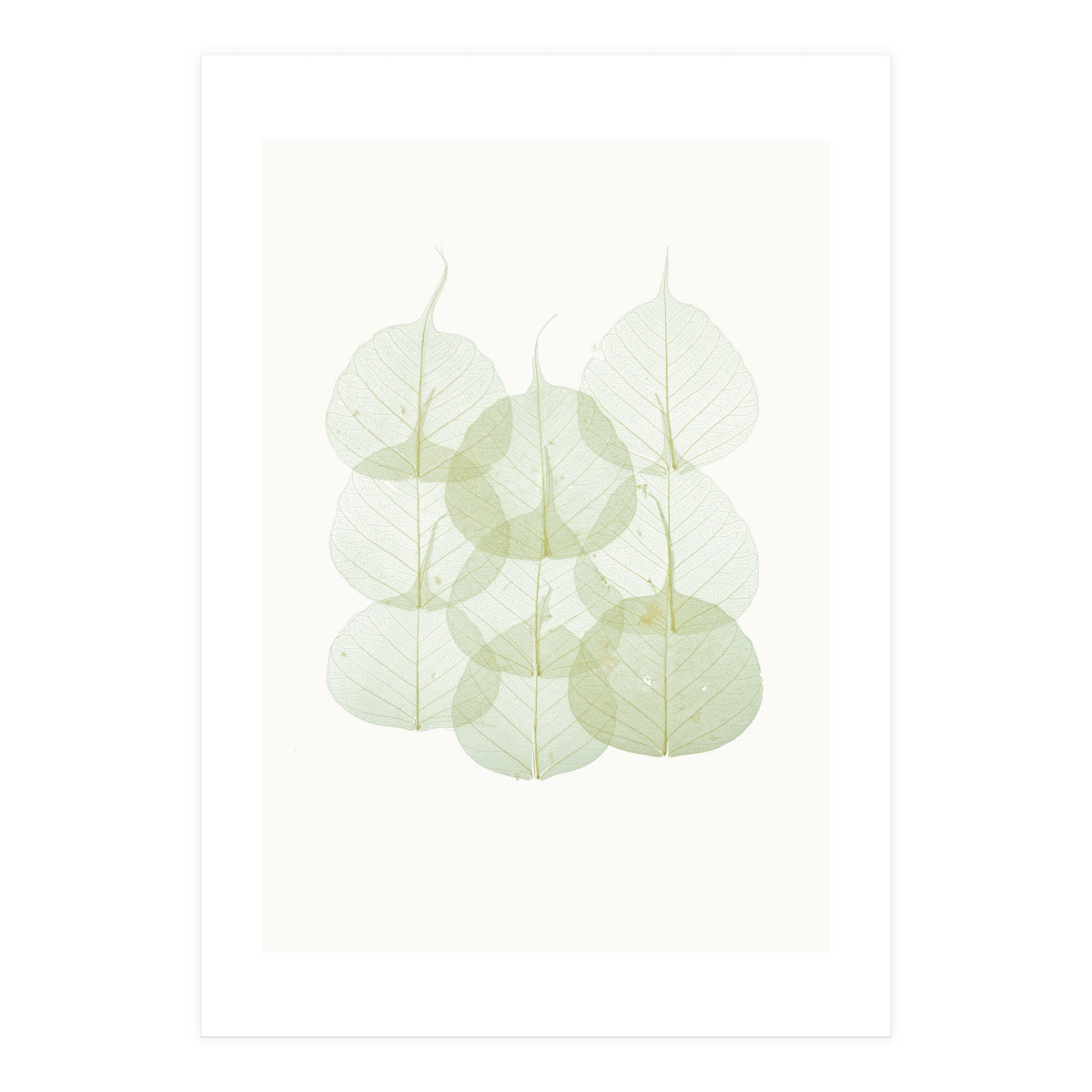 Cc Leaves 02 (Print Only)