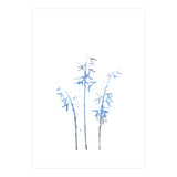 Blue Hosta (Print Only) thumbnail