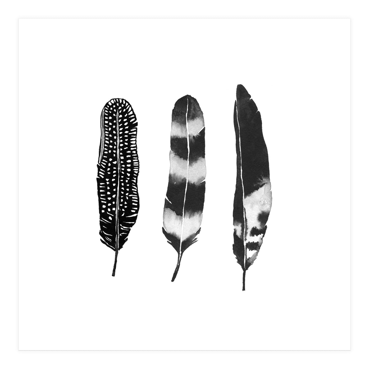 Dark Feather (Print Only)