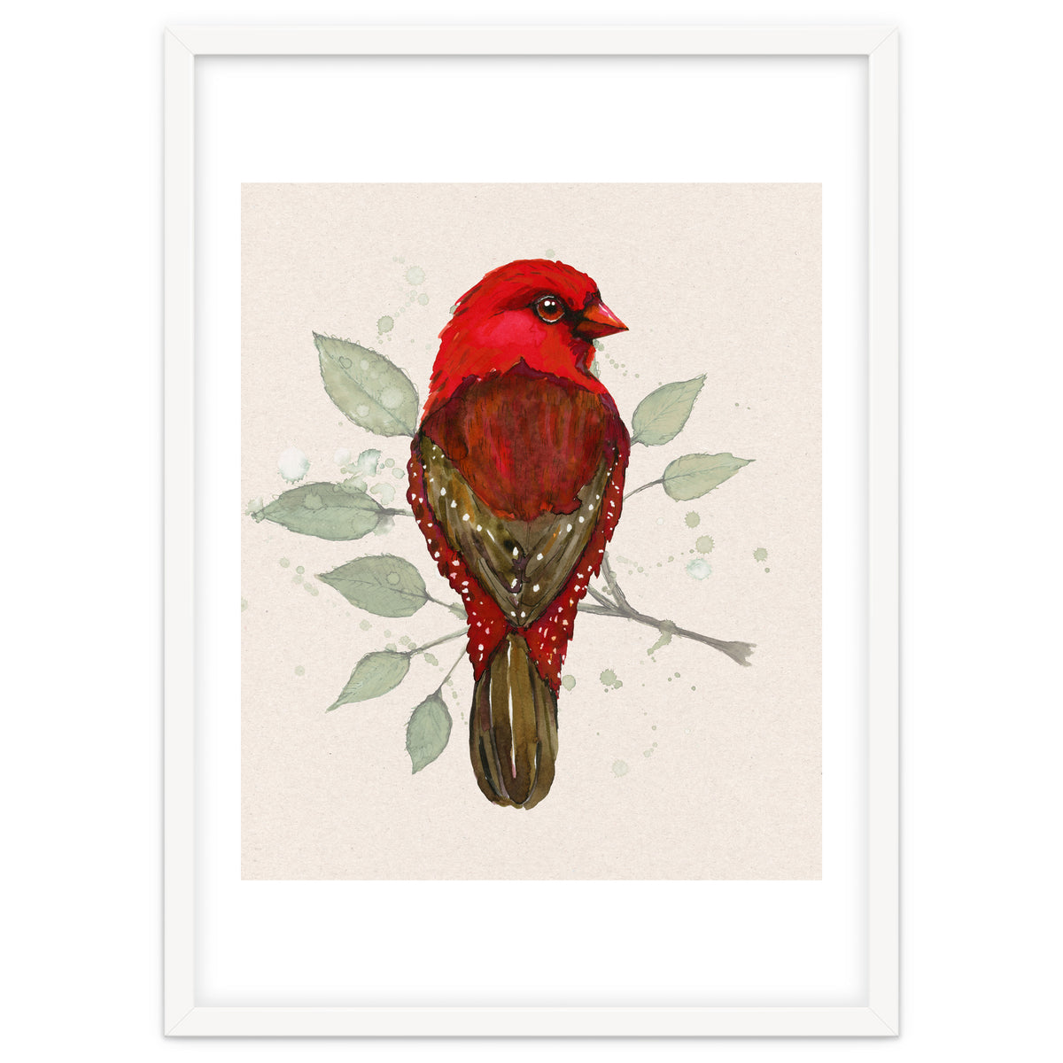 Red avadavat watercolor