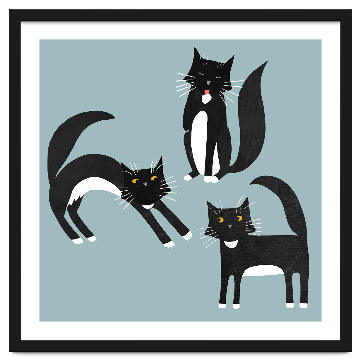 Black and White Tuxedo Cats