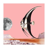 Plenty Of Fish In The Sea Pink (Print Only) thumbnail