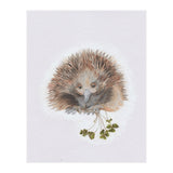 Echidna - Australian Animal Series (Print Only) thumbnail