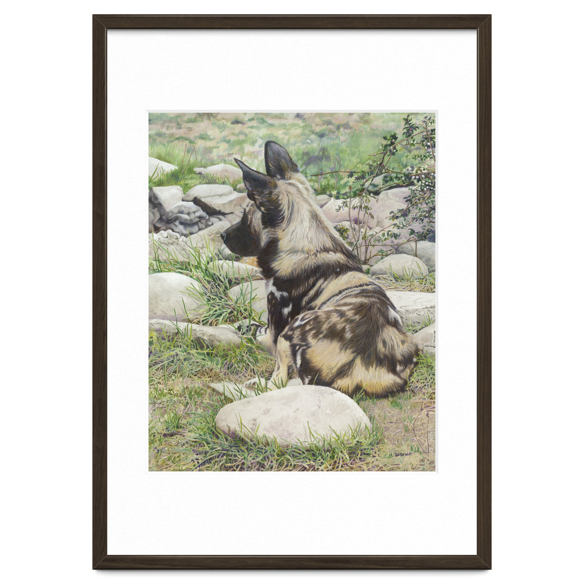 African Painted Dog I