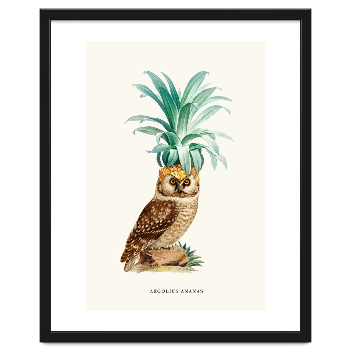 Pineapple Owl Vintage