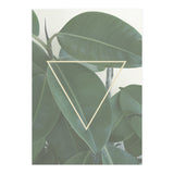 ficus triangle (Print Only) thumbnail