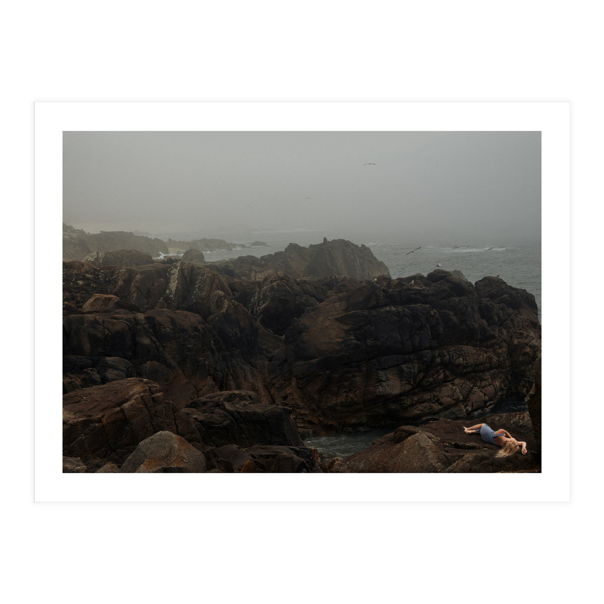 Seagull Bay (Print Only)