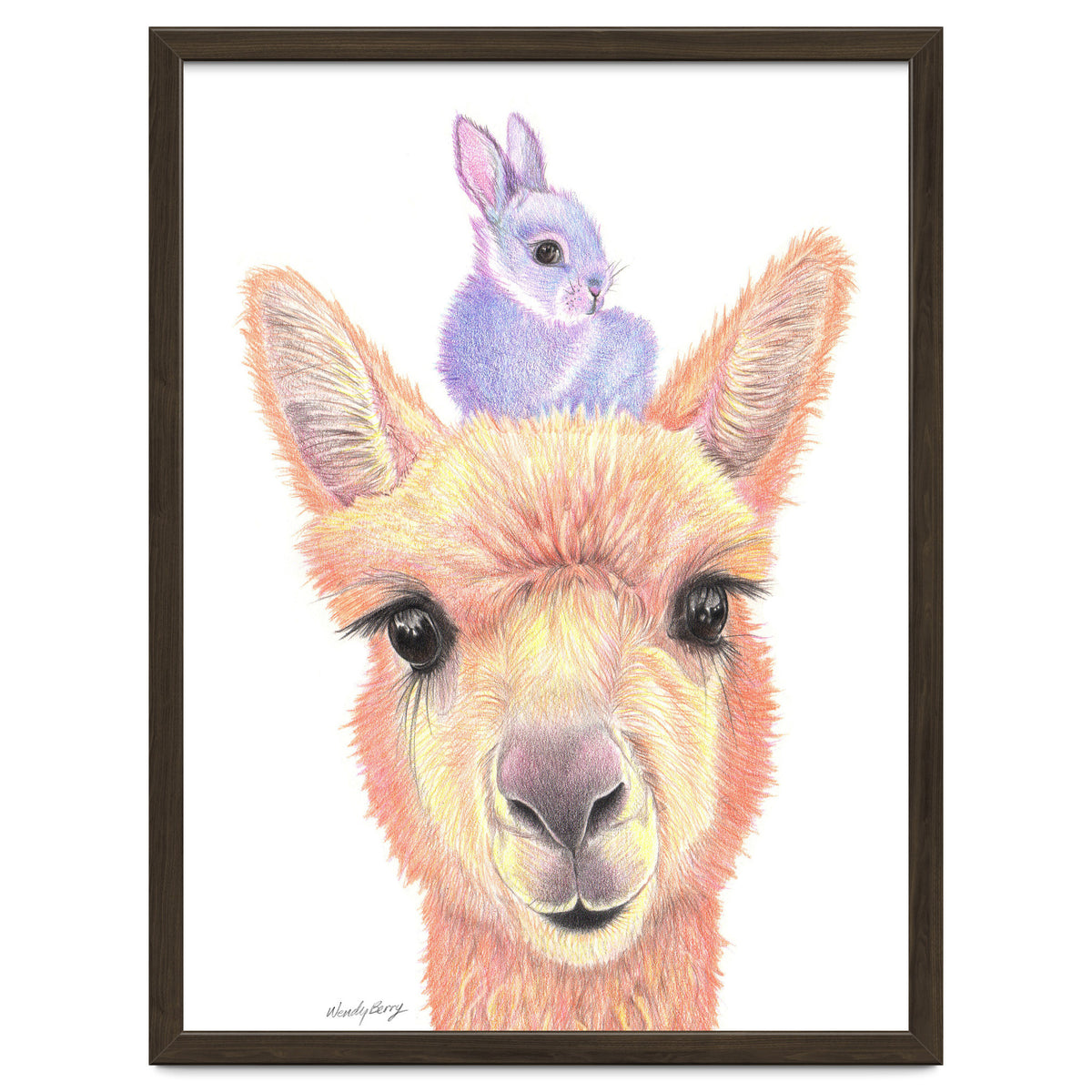 Alpaca and Bunny