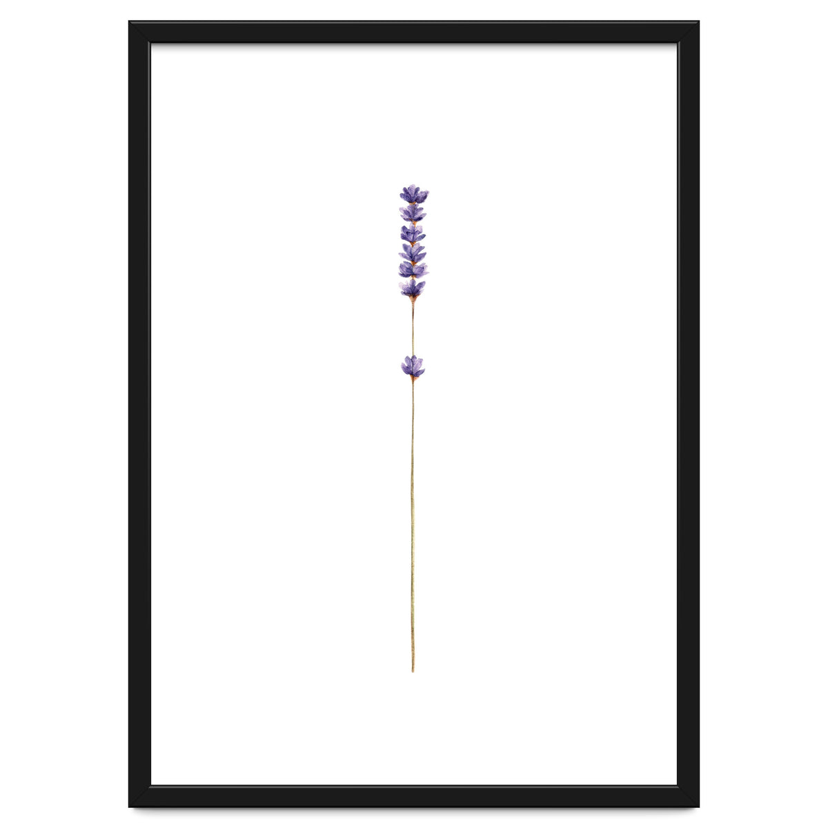 Lavender twig