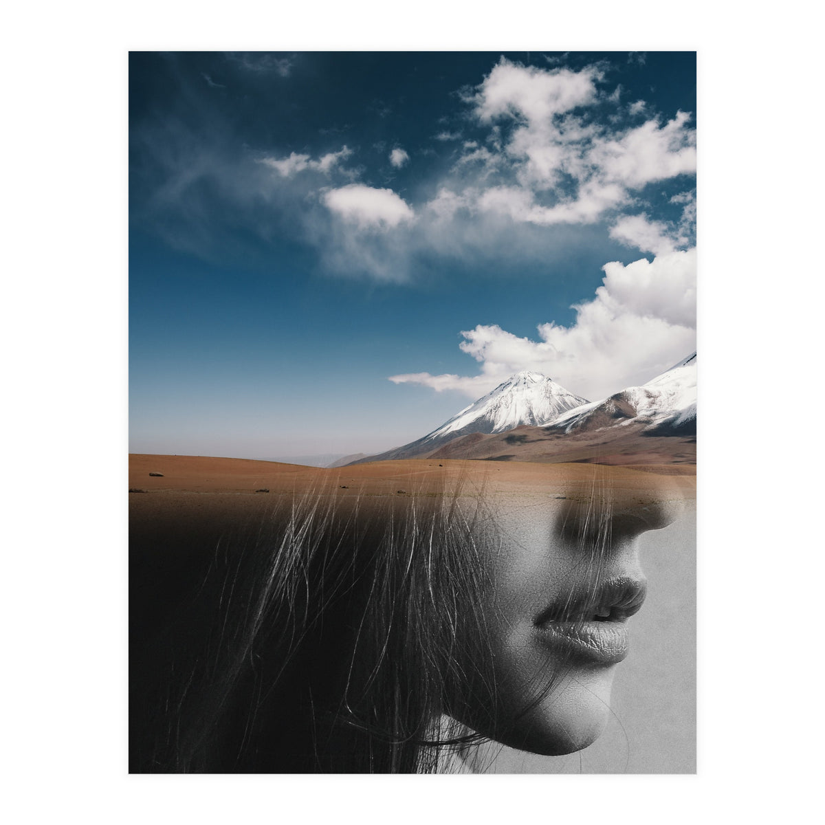 Dream Division 5 (Print Only)