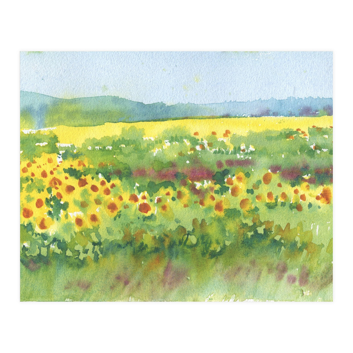 Sunflowers field  (Print Only)