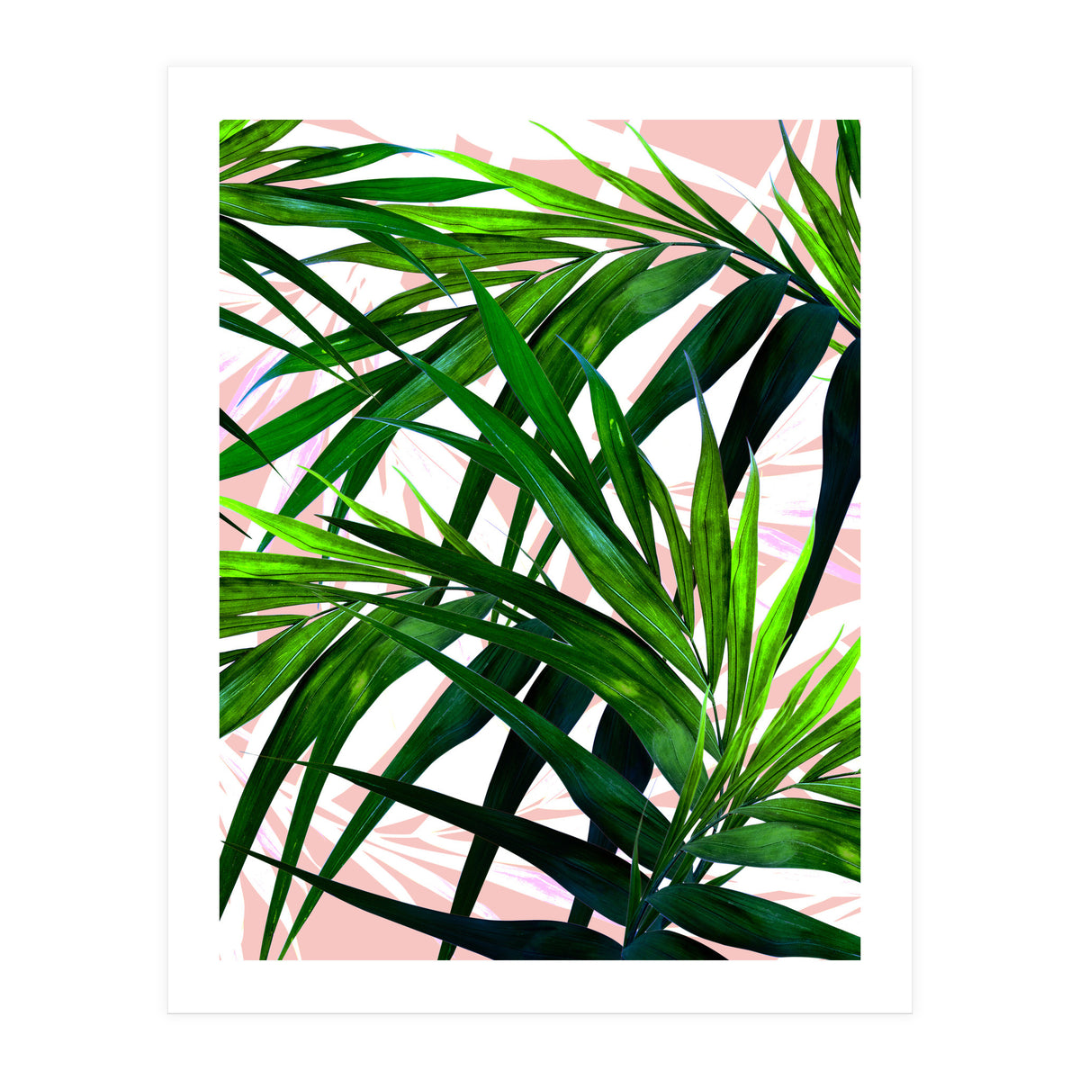 Dream paradise  (Print Only)