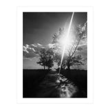 Walking on the shadows (Print Only) thumbnail