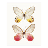 Cc Butterflies 04 (Print Only) thumbnail