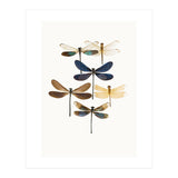Cc Insects 10 (Print Only) thumbnail