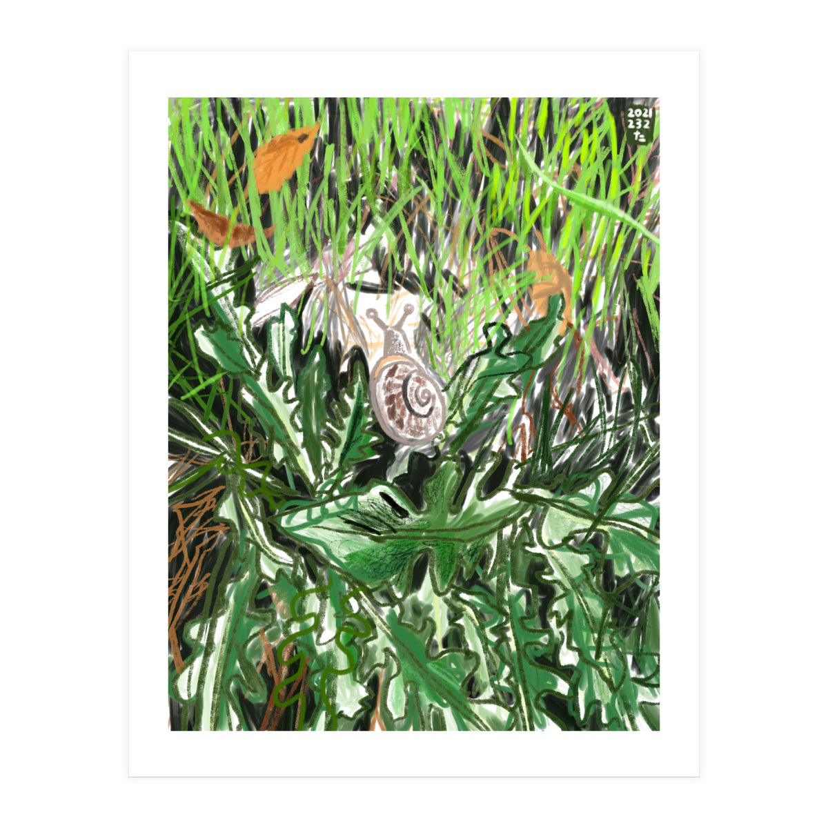 A Snail Goes (Print Only)