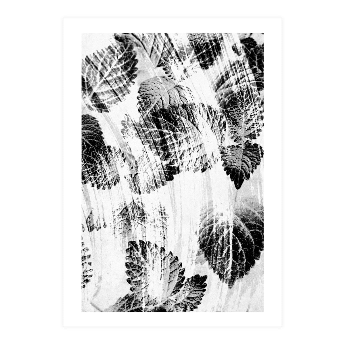 Raining Forest No6 (Print Only)