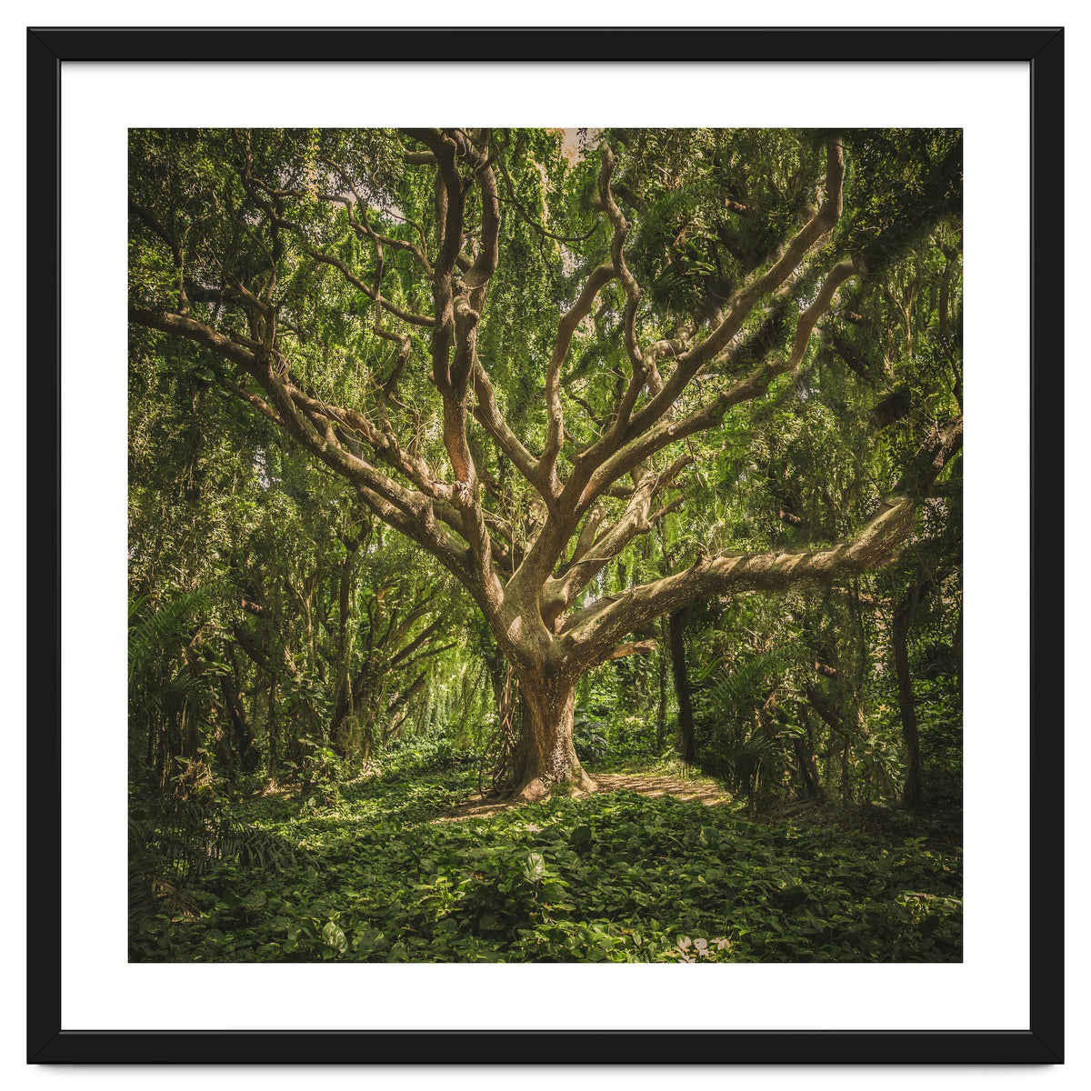 Spirits inside the wood