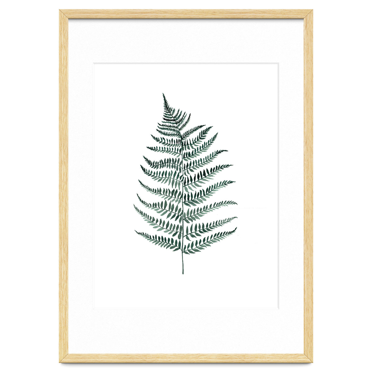 Botanical Illustration Silverfern