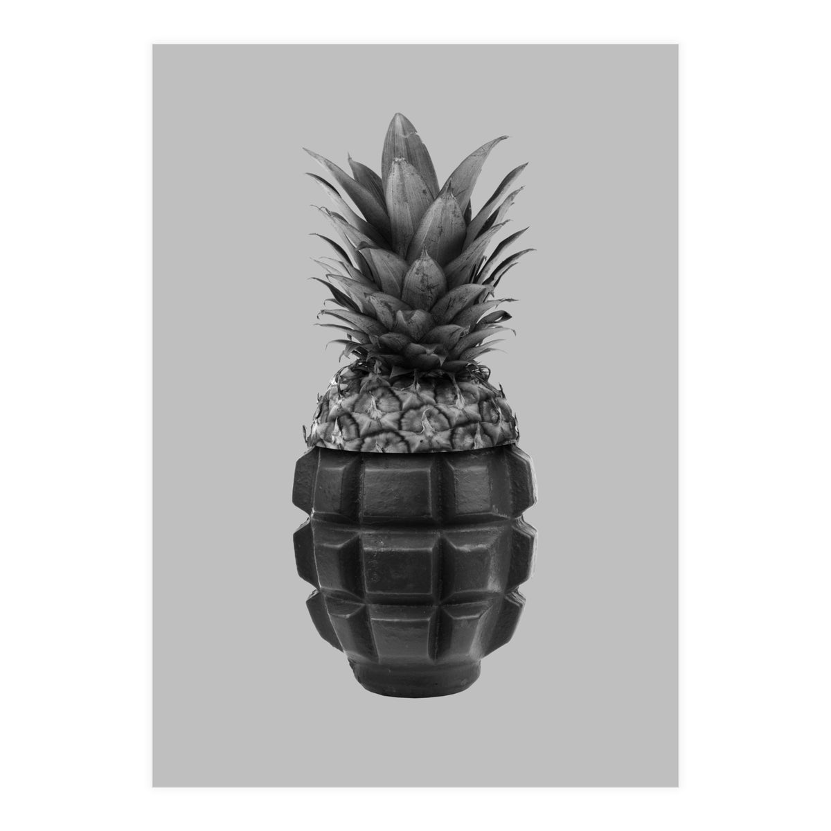 Grenapple (Print Only)