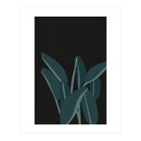 Bird Of Paradise (Print Only) thumbnail