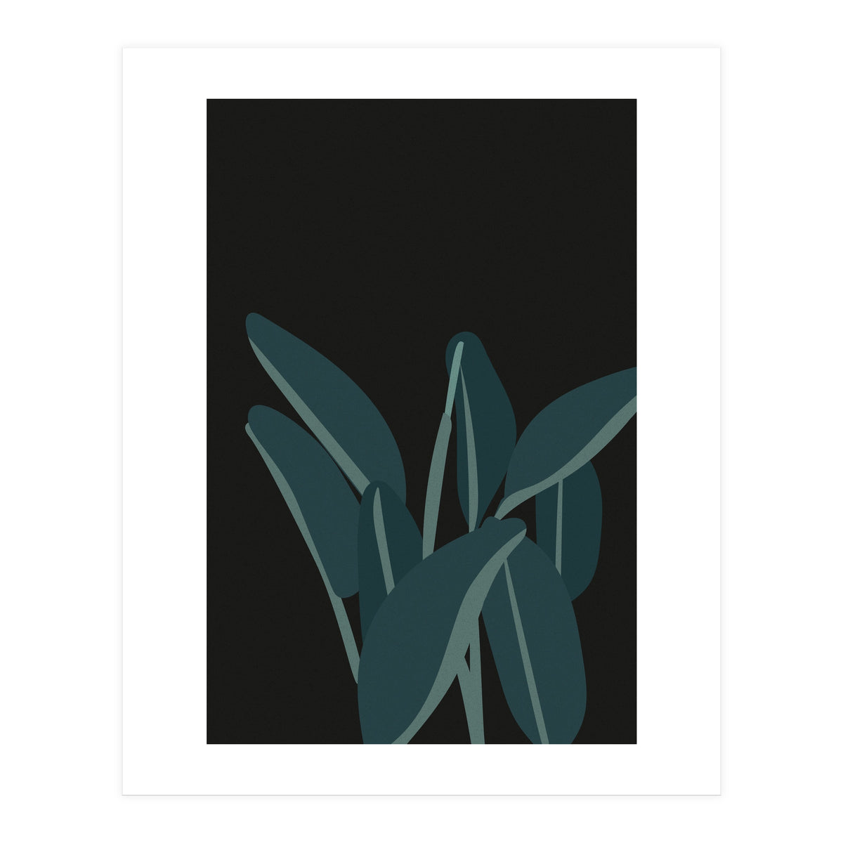 Bird Of Paradise (Print Only)