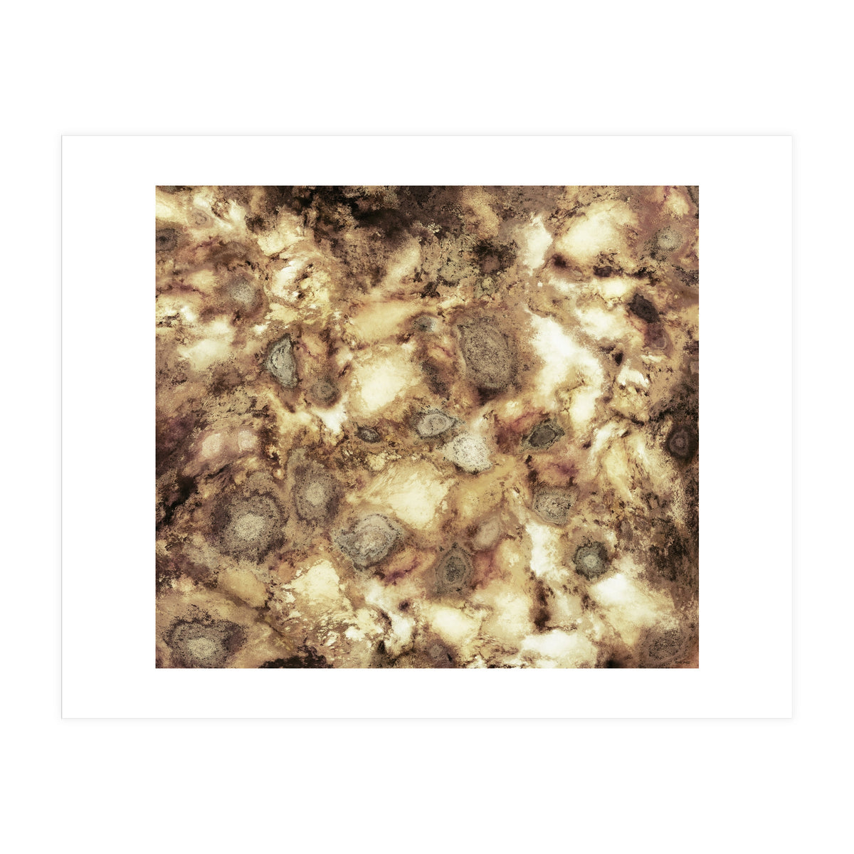 The Hard Crash (Print Only)