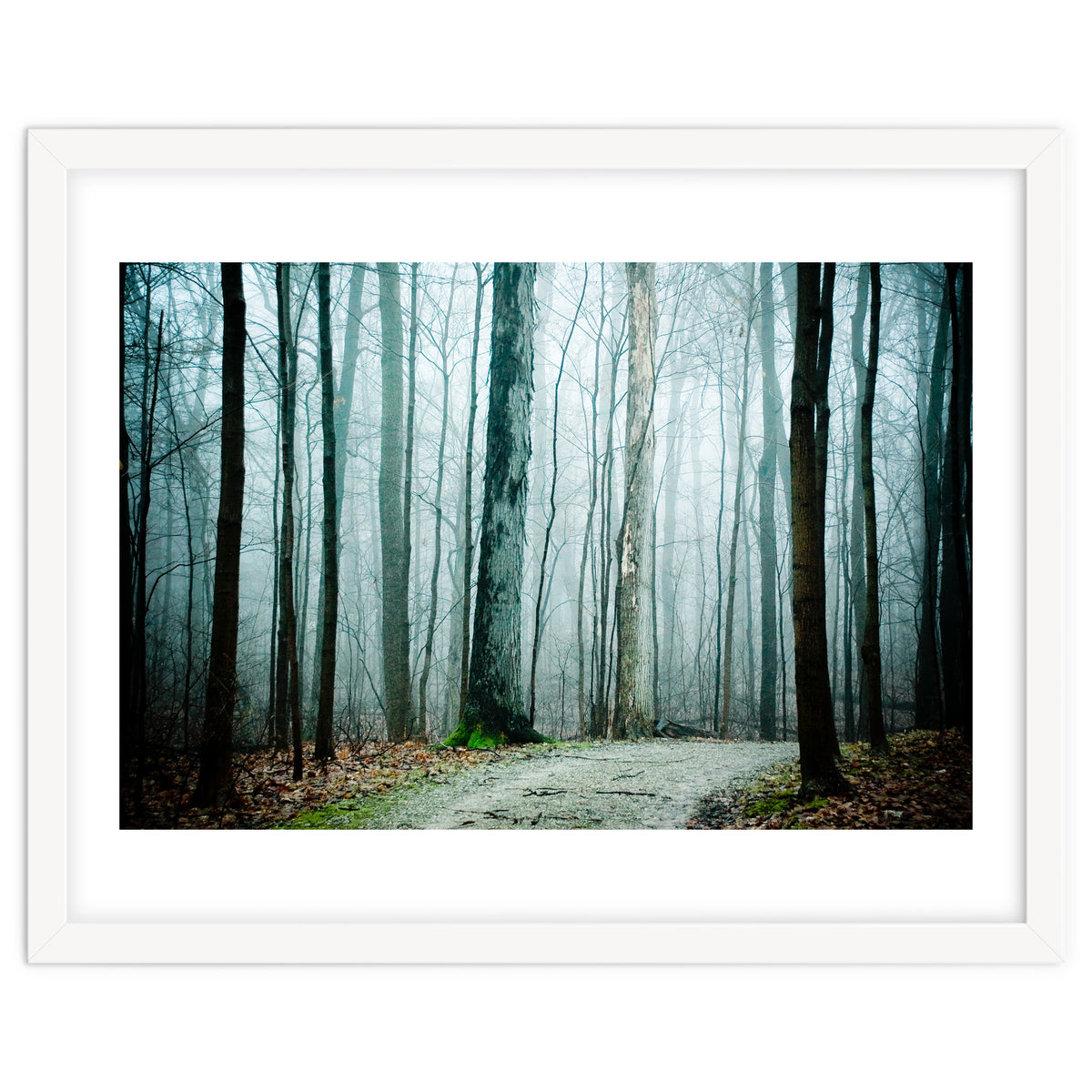 Gather Up Your Dreams