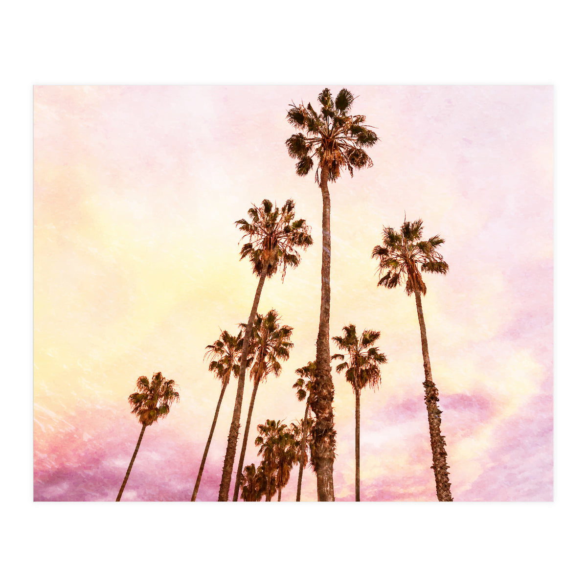 Coconut Groove (Print Only)