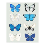 Lepidoptery Study No. 3 (Print Only) thumbnail
