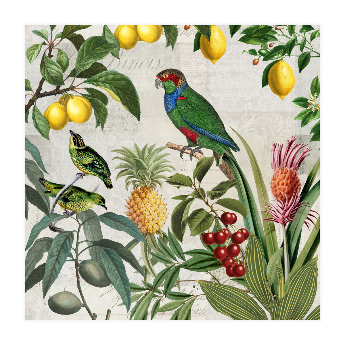 Fruit Paradise (Print Only)