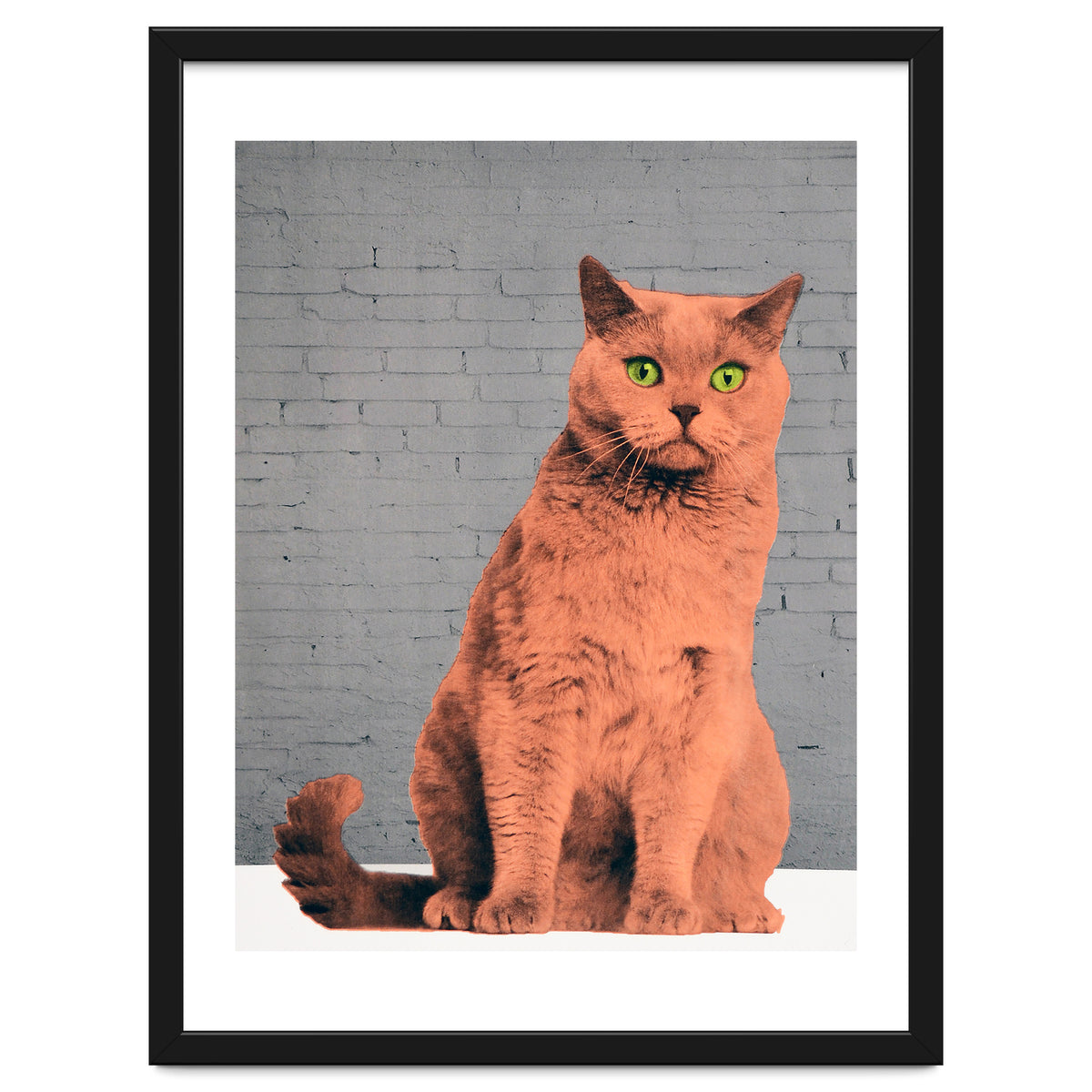 Everybody Wants To Be A Cat